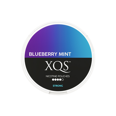 XQS | Blueberry Mint Strong 20mg/g